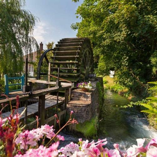 Le Clos Saint Vincent Manneville-es-Plains Bagian luar foto
